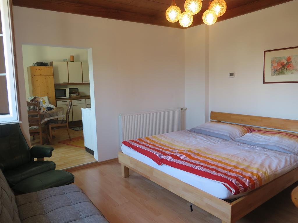 Ferienhaus Deller Pinkafeld Cameră foto